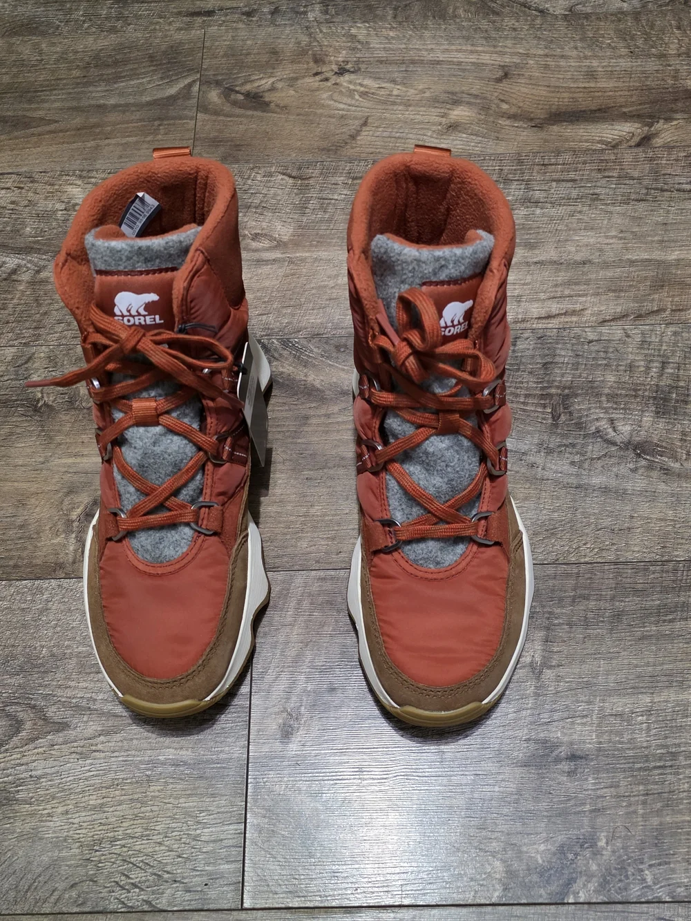 Sorel new kinetic